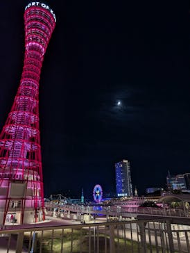 神戸ポートタワーに投稿された画像（2024/10/12）
