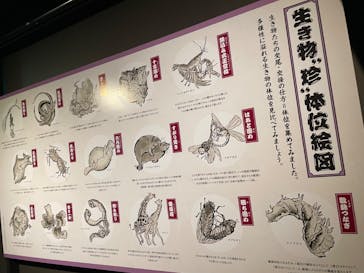 サンシャイン水族館に投稿された画像（2024/10/12）