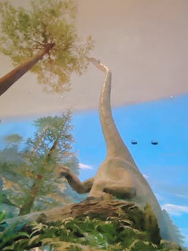 福井県立恐竜博物館に投稿された画像（2024/10/12）