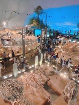 福井県立恐竜博物館に投稿された画像（2024/10/12）