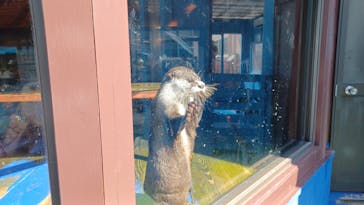 ゼロ距離水族館 伊勢シーパラダイスに投稿された画像（2024/10/12）