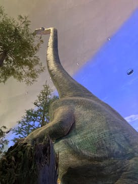 福井県立恐竜博物館に投稿された画像（2024/10/12）