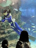 サンシャイン水族館に投稿された画像（2024/10/13）