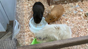 成田ゆめ牧場に投稿された画像（2024/10/12）