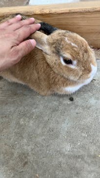 成田ゆめ牧場に投稿された画像（2024/10/12）