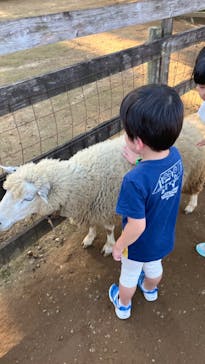 成田ゆめ牧場に投稿された画像（2024/10/12）