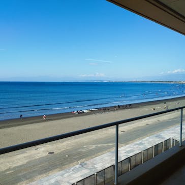 新江ノ島水族館に投稿された画像（2024/10/12）