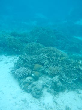 ラッキークローバーに投稿された画像（2024/10/12）