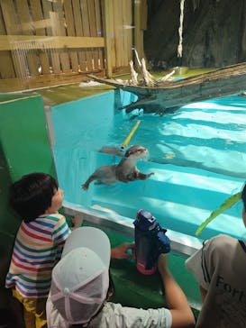 竹島水族館に投稿された画像（2024/10/12）