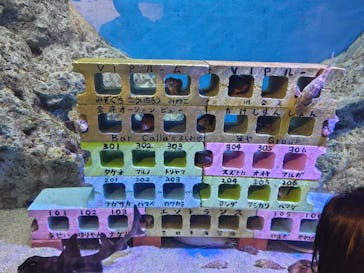 竹島水族館に投稿された画像（2024/10/12）