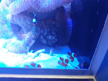 竹島水族館に投稿された画像（2024/10/12）