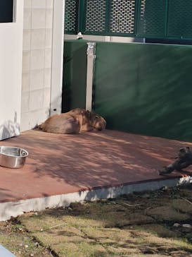 竹島水族館に投稿された画像（2024/10/12）