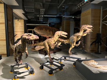 福井県立恐竜博物館に投稿された画像（2024/10/13）