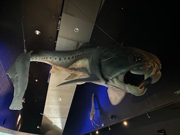 環境水族館アクアマリンふくしまに投稿された画像（2024/10/13）