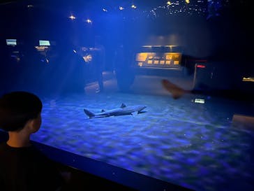 環境水族館アクアマリンふくしまに投稿された画像（2024/10/13）