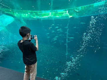 環境水族館アクアマリンふくしまに投稿された画像（2024/10/13）