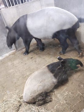 静岡市立日本平動物園に投稿された画像（2024/10/13）