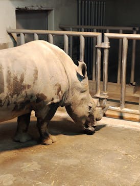 静岡市立日本平動物園に投稿された画像（2024/10/13）