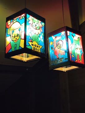 静岡市立日本平動物園に投稿された画像（2024/10/13）