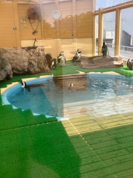 名古屋港水族館に投稿された画像（2024/10/13）