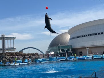 名古屋港水族館に投稿された画像（2024/10/13）