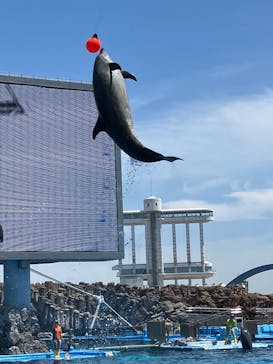 名古屋港水族館に投稿された画像（2024/10/13）