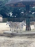 東武動物公園に投稿された画像（2024/10/13）