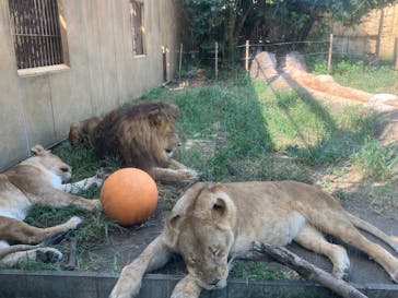 東武動物公園に投稿された画像（2024/10/13）