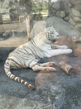東武動物公園に投稿された画像（2024/10/13）