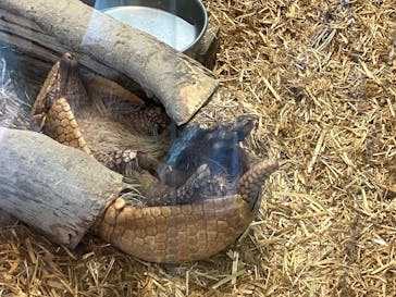 東武動物公園に投稿された画像（2024/10/13）