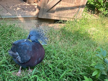東武動物公園に投稿された画像（2024/10/13）