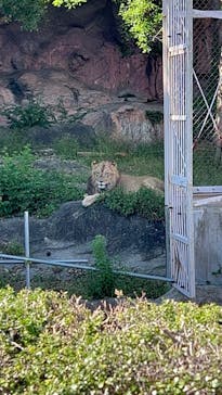 名古屋市東山動植物園に投稿された画像（2024/10/13）