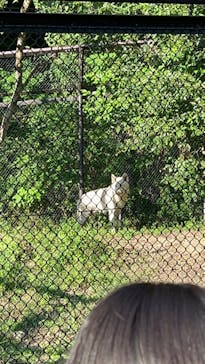 名古屋市東山動植物園に投稿された画像（2024/10/13）
