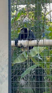 名古屋市東山動植物園に投稿された画像（2024/10/13）