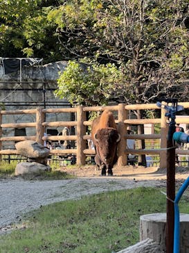 名古屋市東山動植物園に投稿された画像（2024/10/13）
