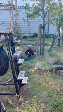 名古屋市東山動植物園に投稿された画像（2024/10/13）