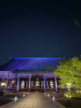 NAKED光の西本願寺2024 秋の特別公開に投稿された画像（2024/10/13）