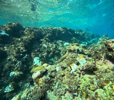 沖縄マリンサービス碧に投稿された画像（2024/10/13）