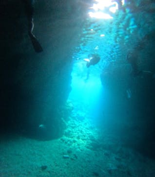 沖縄マリンサービス碧に投稿された画像（2024/10/13）