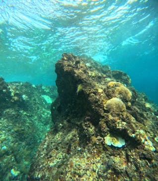 沖縄マリンサービス碧に投稿された画像（2024/10/13）