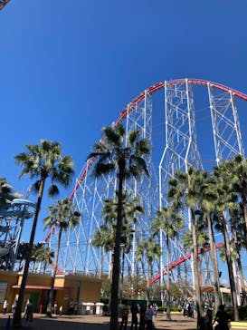 ナガシマスパーランドに投稿された画像（2024/10/13）