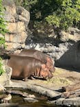 天王寺動物園に投稿された画像（2024/10/13）