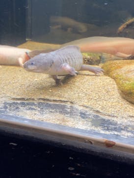 竹島水族館に投稿された画像（2024/10/13）