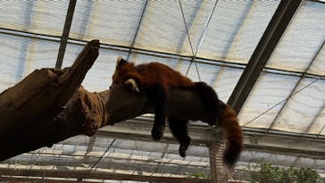 神戸どうぶつ王国に投稿された画像（2024/10/13）