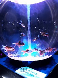 夢みなとタワーに投稿された画像（2024/10/13）