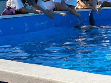 南知多ビーチランド＆南知多おもちゃ王国に投稿された画像（2024/10/13）