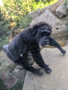 到津の森公園に投稿された画像（2024/10/13）