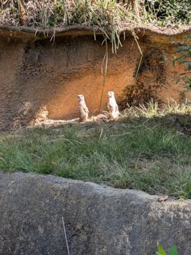 到津の森公園に投稿された画像（2024/10/13）