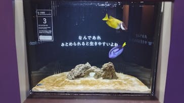 横浜開運水族館 フォーチュンアクアリウムに投稿された画像（2024/10/13）