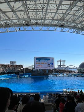 名古屋港水族館に投稿された画像（2024/10/13）